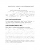 CONTRATO DE SERVICIOS PROFESIONALES DE CONSULTORÍA ENTRE DIPPER LIMITADA