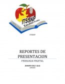 CRECIMIENTO Y DESARROLLO DE LAS PLANTAS