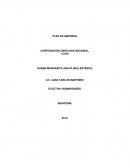 PLAN DE EMPRESA. CORPORACIÓN UNIFICADA NACIONAL.