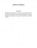 ENSAYO MIS METAS ACADEMICAS.