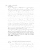 SOBRE LA PELICULA.- LA CHICA DANESA