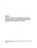 Práctica de Inorgánica. (Rayos Catodicos)