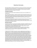 Derechos humanos, con una fijación especial en las normas de políticas económicas para observar cómo es que estas contribuyen a la nación mexicana.