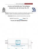 Módulo II: Desarrolla software de aplicación utilizando programación orientada a objetos, con almacenamiento persistente de los datos. Submódulo II: Diseña y administra base de datos avanzadas