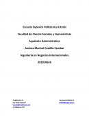 Ingeniería en Negocios Internacionales