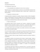 Los 10 principios del Comercio Justo: