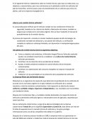 ¿Qué es una revisión técnica vehicular?