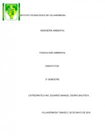 INGENIERÍA AMBIENTAL TOXICOLOGÍA AMBIENTAL. Página 1