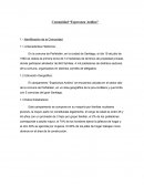 Ensayo Esperanza Andina.