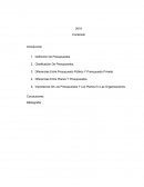 Presupuestos-conceptos basicos.