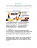 Termodinamica - Reseña