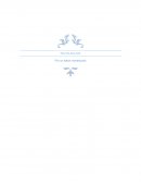 Ensayo de Administración de Empresas (Paletas Sullivan)