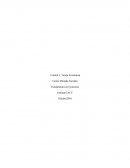 Fundamentos de Economía Control 1, Teoría Económica