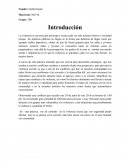 La violencia es un tema que preocupa y asusta cada vez más nuestros barrios o sociedad porque las políticas públicas