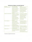 Subprograma de higiene y seguridad en el trabajo