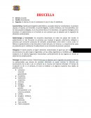 Brucella.