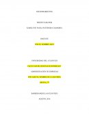 Ensayo sobre el neuromarketing.