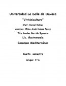 Imperio Romano tiene mucha importancia e influencia en el resto de Europa y paises del norte de Africa en la viticultura.