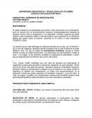 ASIGNATURA: SEMINARIO DE INVESTIGACION.MAPA MENTAL