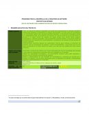 Programa para el desarrollo de la industria de Software