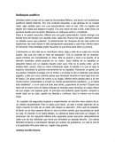 Soliloquio auditivo Sentada sobre la teja de su casa se encontraba Milena, una joven con problemas auditivos desde infancia.