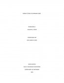 SISTEM CENTER SALUD Y SEGURIDAD OCUPACIONAL