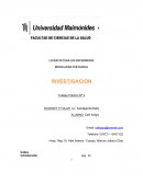 Trabajo final taller de investigacion
