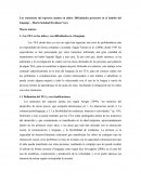 Marco teórico y conclusión.docx