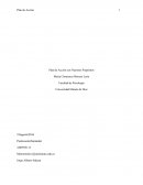 Plan de Acción con Nuestros Propósitos