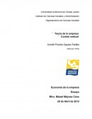 Teoria de la Empresa.