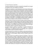 Ensayo La trata de personas.