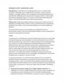 Base de datos Nutresa.