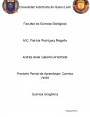 PPA Quimica Inorganica -Quimica Verde..