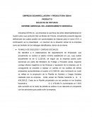INFORME GERENCIAL DEL ASESORAMIENTO GERENCIAL