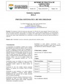 PRUEBA SISTEMATICA DE SOLUBILIDAD