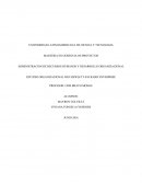 ESTUDIO ORGANIZACIONAL DEN HEWLETT-PACKARD ENTERPRISE