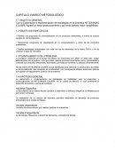 CAPITULO I MARCO METODOLÓGICO