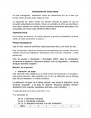 Valoraciones del recién nacido