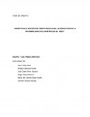 Beneficios e incentivos tributarios para la reduccion de la informalidad de las Mypes en el Peru