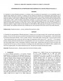 DETERMINACIÓN DE LAS PROPIEDADES FISICO QUÍMICAS DE LA UCHUVA (Physalis Peruviana L.)