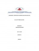 SUPERVISIÓN Y OPERACIÓN DE SISTEMAS ANALOGOS DIGIATALES.