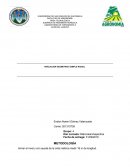 NIVELACION GEOMETRICA SIMPLE RADIAL