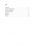 Segunda revolucion industrial.