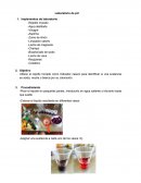 TEMA- INFORME LABORATORIO.