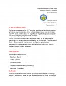 Seguridad Industrial.“Reporte sobre las 5 S”