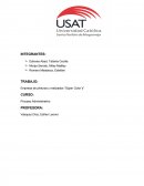 Descripción de las actividades de la empresa