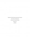 Diagnostico del actual modelo organizacional de la empresa.