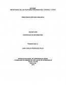 IMPORTANCIA DE LAS FUNCIONES ORGANIZACIÓN, CONTROL Y STAFF