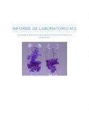 ¿Es posible la observación de la agitación de partículas debido a la temperatura?