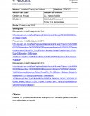 Proyecto de demanda de amparo